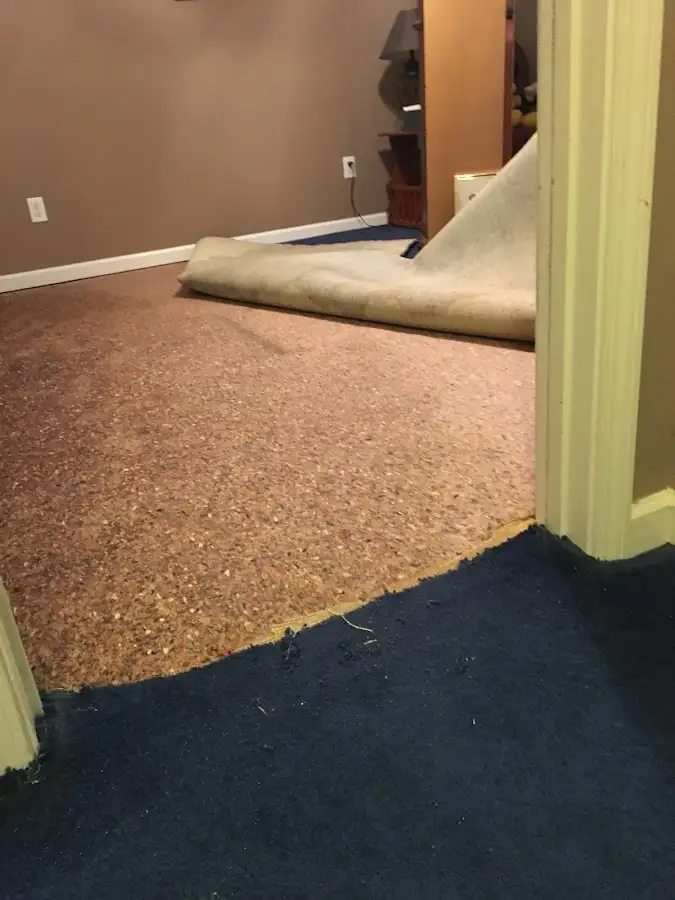 Carpet pad removal revealing water damage during Water Mitigation Services in Globe