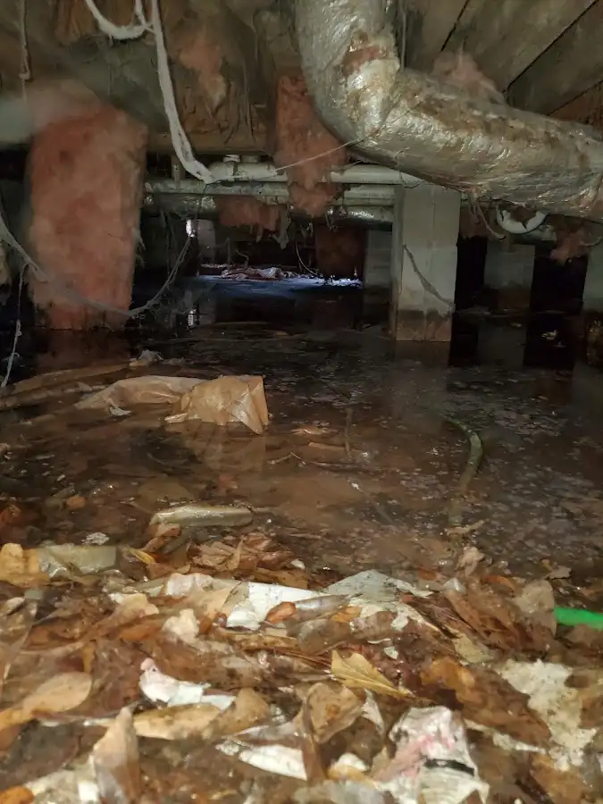Crawl space flood assessment for Commercial Water Damage Restoration in Globe