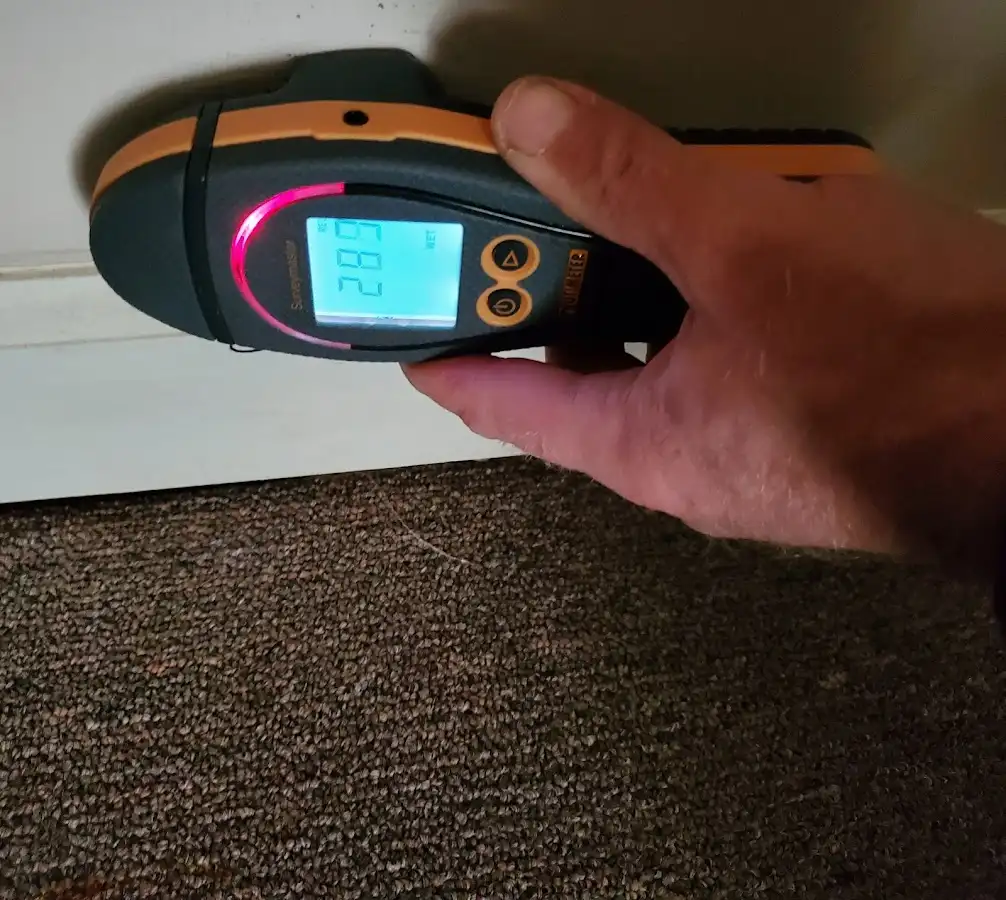 Moisture detection at baseboard during Mold Inspection & Testing in Globe